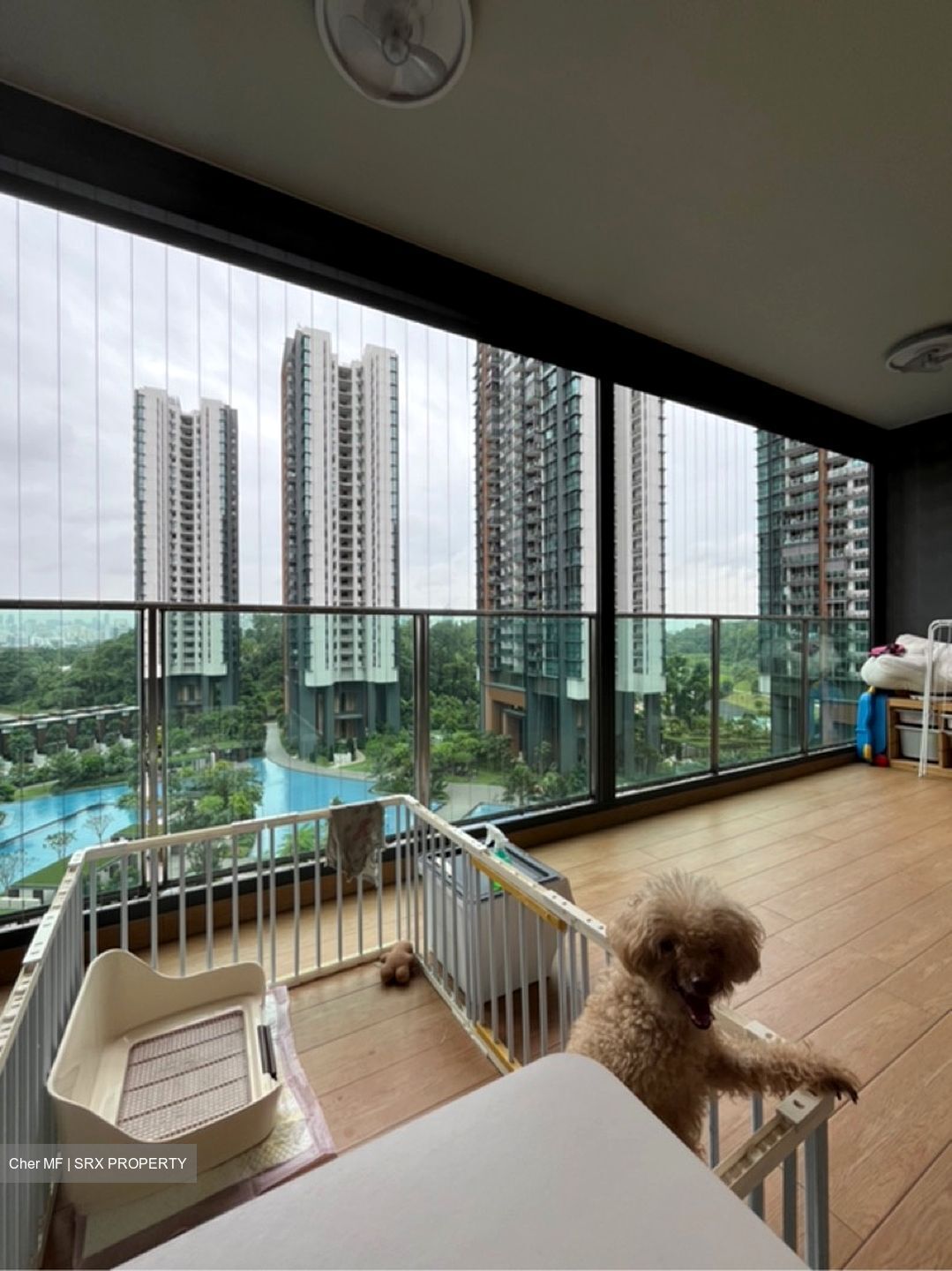 Normanton Park (D5), Apartment #612031401